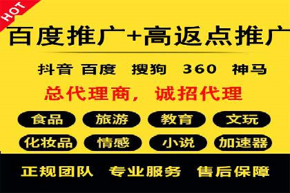 某电商平台的SEM广告投放全流程解析